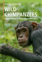 Chimpancés salvajes: Comportamiento social de una especie en peligro de extinción - Wild Chimpanzees: Social Behavior of an Endangered Species