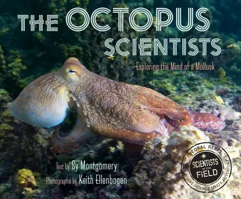 Los científicos pulpo - The Octopus Scientists