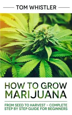 Como Cultivar Marihuana: Desde la semilla hasta la cosecha - Guía completa paso a paso para principiantes - How to Grow Marijuana: From Seed to Harvest - Complete Step by Step Guide for Beginners