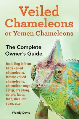 Camaleones velados o camaleones del Yemen como mascotas. información sobre camaleones velados bebés, camaleones velados hembras, configuración de la jaula del camaleón, cría, colores, hechos - Veiled Chameleons or Yemen Chameleons as pets. info on baby veiled chameleons, female veiled chameleons, chameleon cage setup, breeding, colors, facts