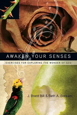 Despierta tus sentidos: Ejercicios para explorar las maravillas de Dios - Awaken Your Senses: Exercises for Exploring the Wonder of God