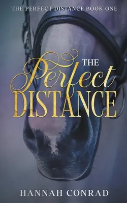 La distancia perfecta - The Perfect Distance