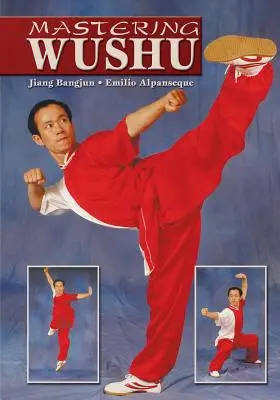 Dominio del Wushu - Mastering Wushu