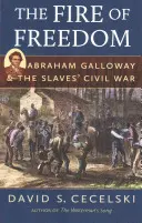 El fuego de la libertad: Abraham Galloway y la guerra civil de los esclavos - The Fire of Freedom: Abraham Galloway and the Slaves' Civil War