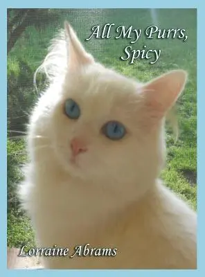 Todos mis ronroneos, Spicy - All My Purrs, Spicy