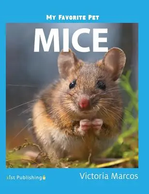 Mi mascota favorita Ratones - My Favorite Pet: Mice