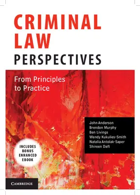 Perspectivas del Derecho Penal: De los principios a la práctica - Criminal Law Perspectives: From Principles to Practice