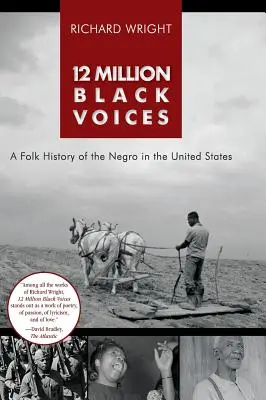 12 millones de voces negras - 12 Million Black Voices