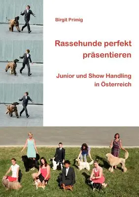 Rassehunde perfekt prsentieren: Junior und Show Handling in sterreich