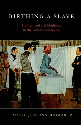 Dar a luz a una esclava: Maternidad y medicina en el Sur de Antebellum - Birthing a Slave: Motherhood and Medicine in the Antebellum South