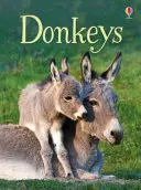 Burros - Donkeys