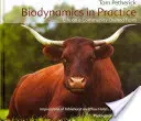 La biodinámica en la práctica: La vida en una granja comunitaria - Biodynamics in Practice: Life on a Community Owned Farm