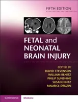 Daño cerebral fetal y neonatal - Fetal and Neonatal Brain Injury