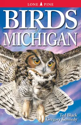 Aves de Michigan - Birds of Michigan