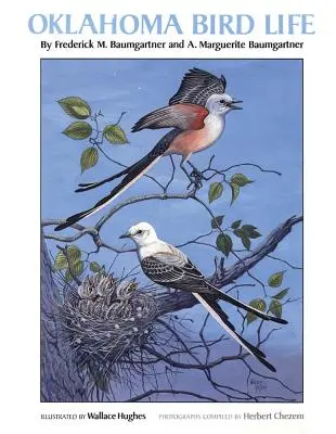 La avifauna de Oklahoma - Oklahoma Bird Life