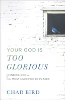 Tu Dios es demasiado glorioso - Your God Is Too Glorious