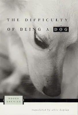 La dificultad de ser un perro - The Difficulty of Being a Dog