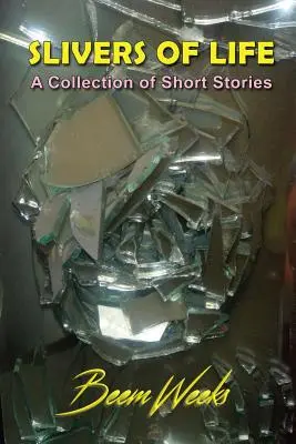 Astillas de vida: Colección de relatos breves - Slivers of Life: A Collection of Short Stories