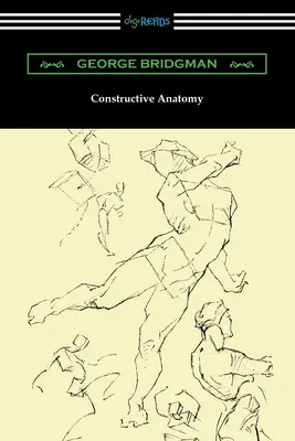 Anatomía constructiva - Constructive Anatomy