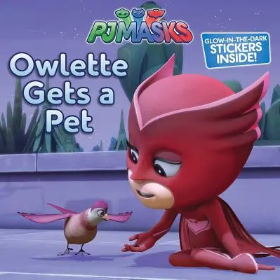 La lechuza tiene mascota - Owlette Gets a Pet