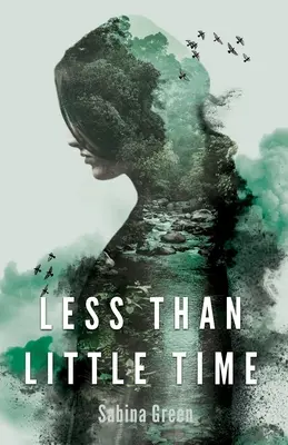 Menos que poco tiempo - Less Than Little Time