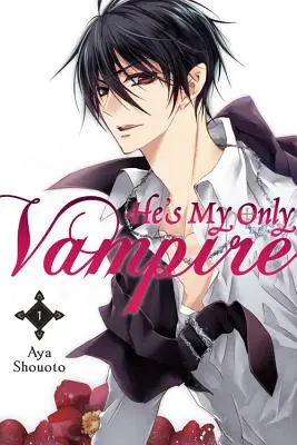 Él es mi único vampiro, volumen 1 - He's My Only Vampire, Volume 1