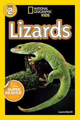 Lagartos - Lizards