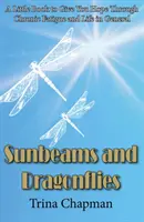 Rayos de sol y libélulas - Un pequeño libro para darte esperanza en la fatiga crónica y en la vida en general - Sunbeams and Dragonflies - A Little Book to Give You Hope Through Chronic Fatigue and Life in General