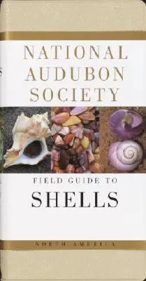 National Audubon Society Guía de campo de las conchas marinas de Norteamérica - National Audubon Society Field Guide to North American Seashells