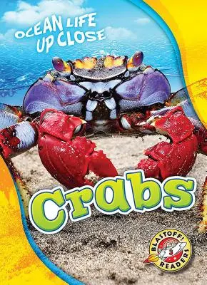 Cangrejos - Crabs