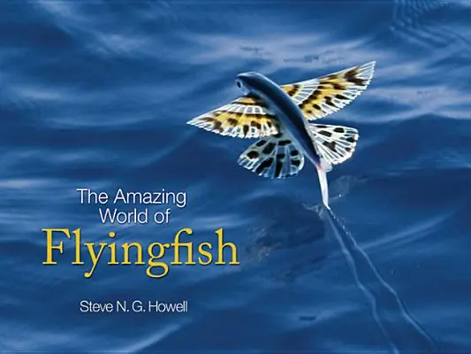 El asombroso mundo de los peces voladores - The Amazing World of Flyingfish