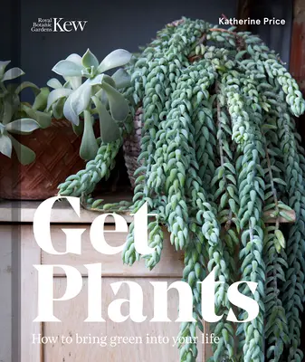 Consiga plantas: Cómo introducir el verde en su vida - Get Plants: How to Bring Green Into Your Life