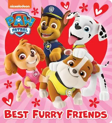 Los mejores amigos peludos (Paw Patrol) - Best Furry Friends (Paw Patrol)