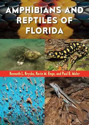 Anfibios y reptiles de Florida - Amphibians and Reptiles of Florida