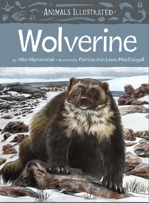 Animales Ilustrados: Lobezno - Animals Illustrated: Wolverine