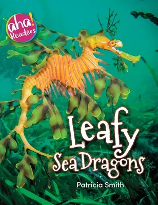 Dragones de mar frondosos - Leafy Sea Dragons