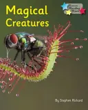 Criaturas mágicas - Phonics Fase 5 - Magical Creatures - Phonics Phase 5