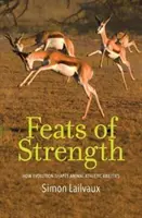 Hazañas de fuerza: cómo la evolución determina las habilidades atléticas de los animales - Feats of Strength: How Evolution Shapes Animal Athletic Abilities