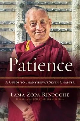 La paciencia: Guía del sexto capítulo de Shantideva - Patience: A Guide to Shantideva's Sixth Chapter