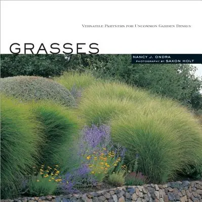 Céspedes: Versátiles aliados para el diseño de jardines poco comunes - Grasses: Versatile Partners for Uncommon Garden Design