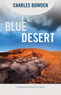 Desierto Azul - Blue Desert