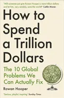 Cómo gastar un billón de dólares: los 10 problemas mundiales que podemos solucionar de verdad - How to Spend a Trillion Dollars - The 10 Global Problems We Can Actually Fix