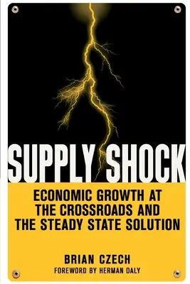 El choque de la oferta: el crecimiento económico en la encrucijada y la solución del estado estacionario - Supply Shock: Economic Growth at the Crossroads and the Steady State Solution