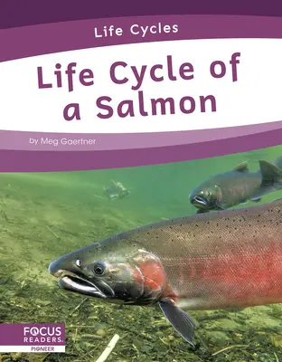 Ciclo de vida del salmón - Life Cycle of a Salmon