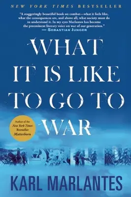 Cómo es ir a la guerra - What It Is Like to Go to War