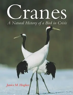 Grullas: Historia natural de un ave en crisis - Cranes: A Natural History of a Bird in Crisis