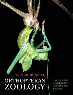 Zoología de ortópteros: Cómo mantener saltamontes, grillos y katydids - Orthopteran Zoology: How to Keep Grasshoppers, Crickets, and Katydids