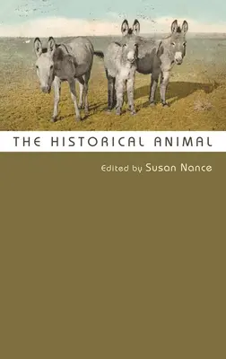 El animal histórico - The Historical Animal