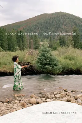 Encuentro negro: Arte, ecología, vida no perdonada - Black Gathering: Art, Ecology, Ungiven Life