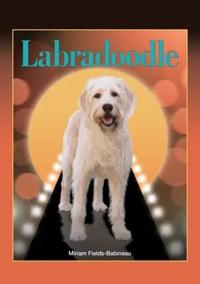 Labradoodle